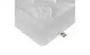 Bild 3 von IRISETTE Leicht-Steppbett Irisette Kamelhaar ECO