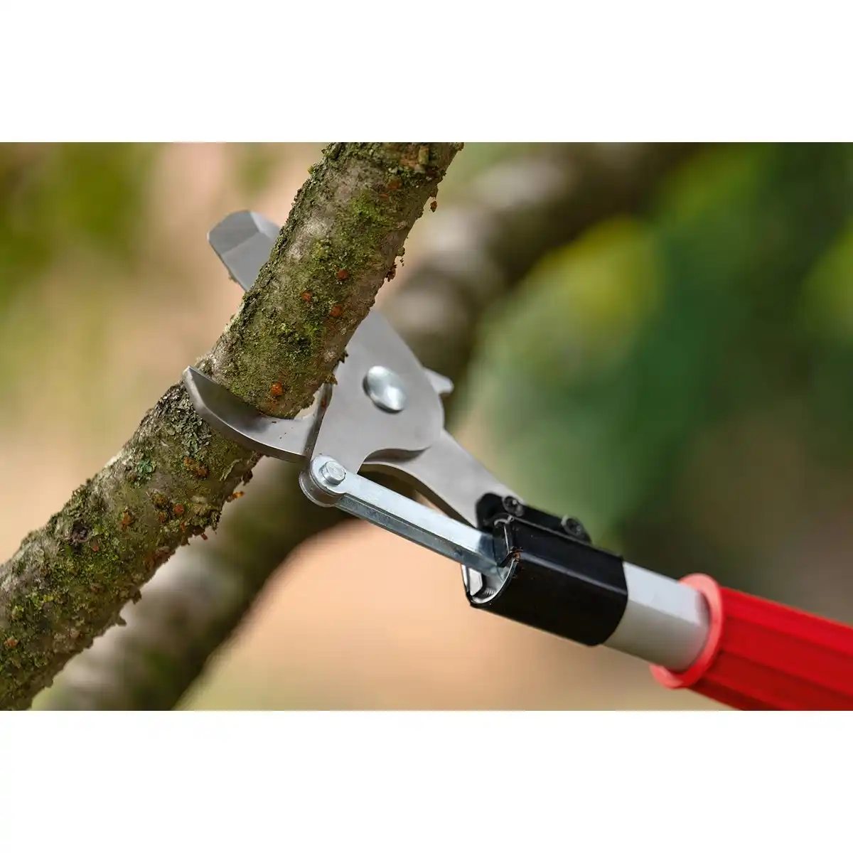 Bild 4 von Bosch Akku-Baumschere Advanced Prune 18V-45 Solo inkl. Verlängerung