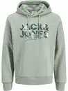 Bild 1 von Jack&Jones JJGEPLAS SWEAT Hoodie Grün