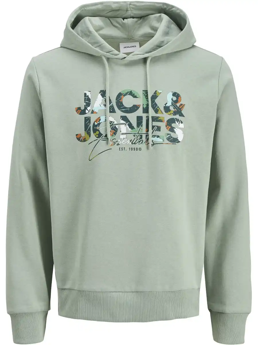 Bild 1 von Jack&Jones JJGEPLAS SWEAT Hoodie Grün