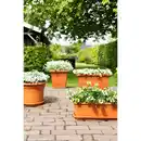 Bild 3 von Florus Pflanztopf Cilindro Ø 40 cm Anthrazit