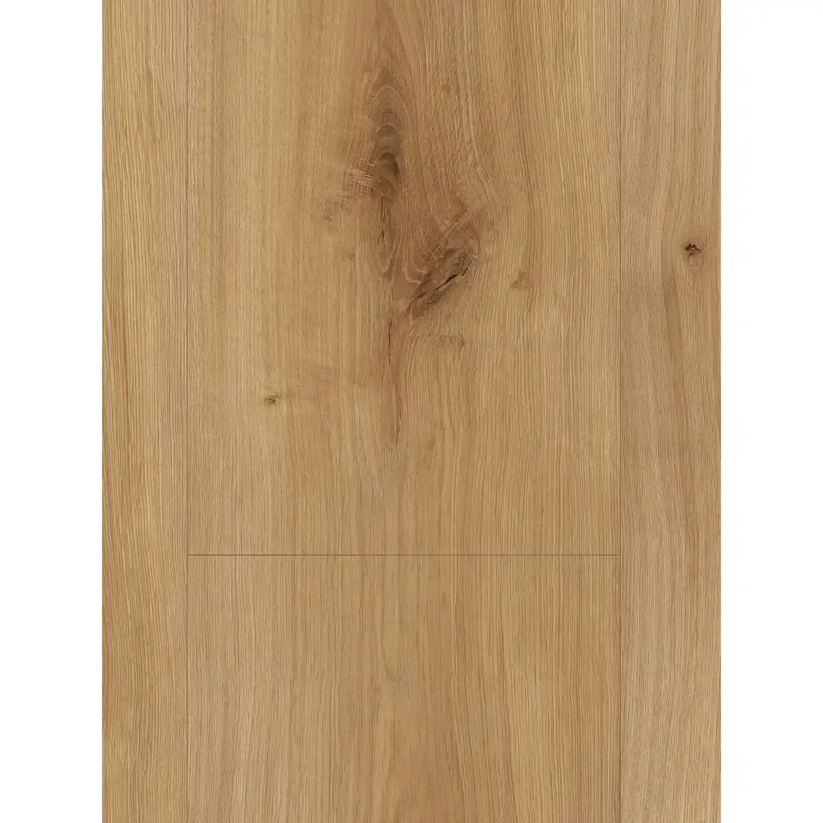 Bild 4 von Parador Basic 600 Laminat 8 mm Wasserfest Eiche Horizont Natur