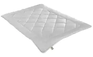 IRISETTE Leicht-Steppbett Irisette Kamelhaar ECO