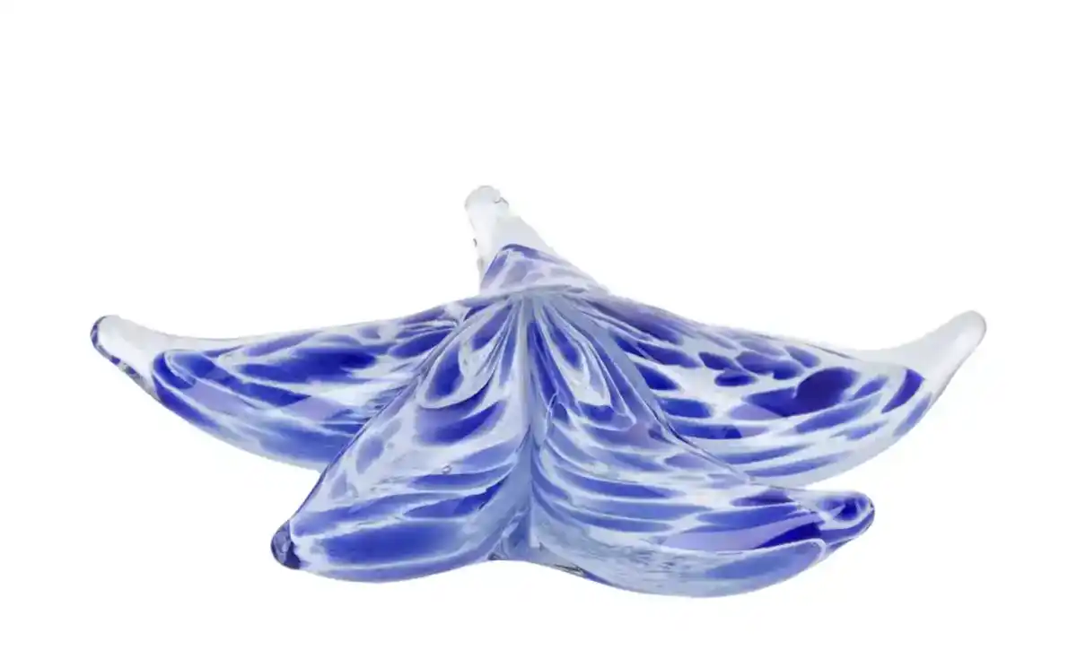 Bild 1 von Deko Seestern