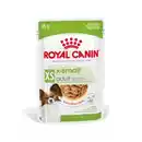 Bild 1 von ROYAL CANIN X-Small Adult in Sauce 12x85 g