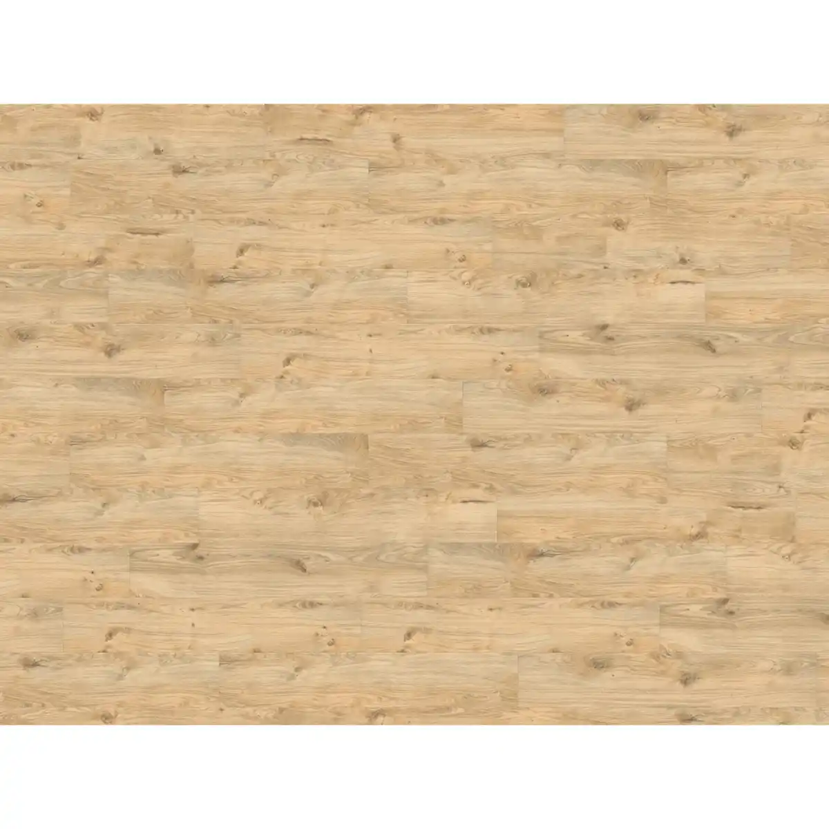 Bild 2 von Living by Haro Designboden Landhausdiele 4VM Eiche Alba