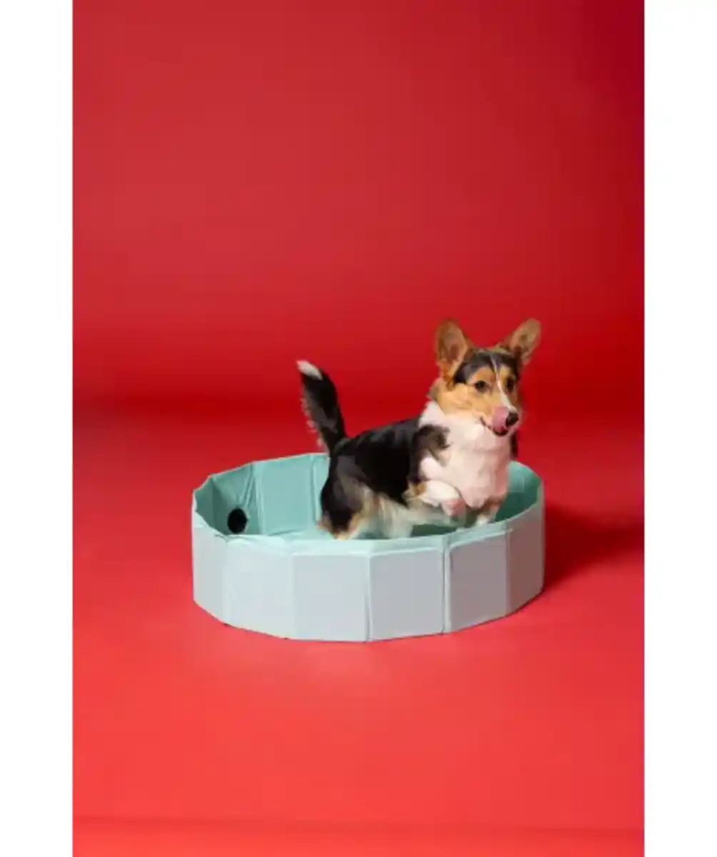 Bild 1 von Hundepool, helltürkis