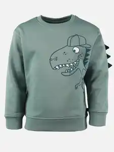 Jungen Sweatshirt mit Dinomotiv Grün