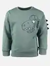 Bild 1 von Jungen Sweatshirt mit Dinomotiv Grün