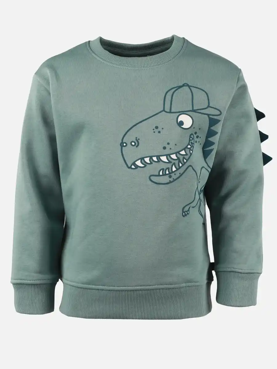 Bild 1 von Jungen Sweatshirt mit Dinomotiv Grün