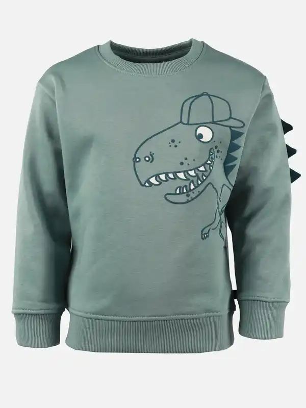 Bild 1 von Jungen Sweatshirt mit Dinomotiv Grün