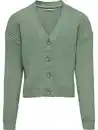 Bild 1 von Kids Only KOGMANDY L/S SHORT BOXY Cardigan Grün