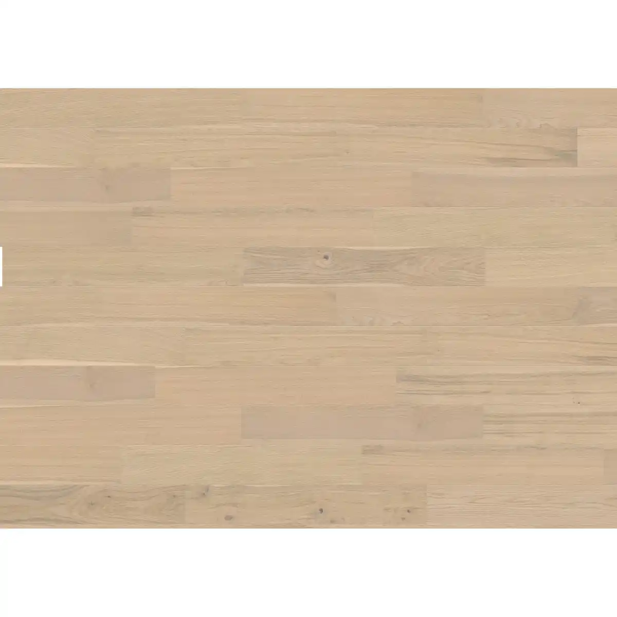 Bild 1 von Living by HARO Parkett Landhausdiele 2V Eiche Weiß Strukturiert Naturöl