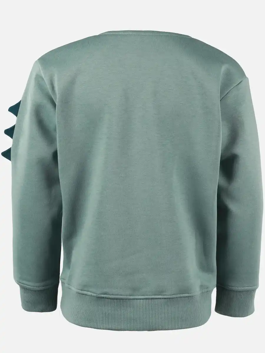 Bild 2 von Jungen Sweatshirt mit Dinomotiv Grün