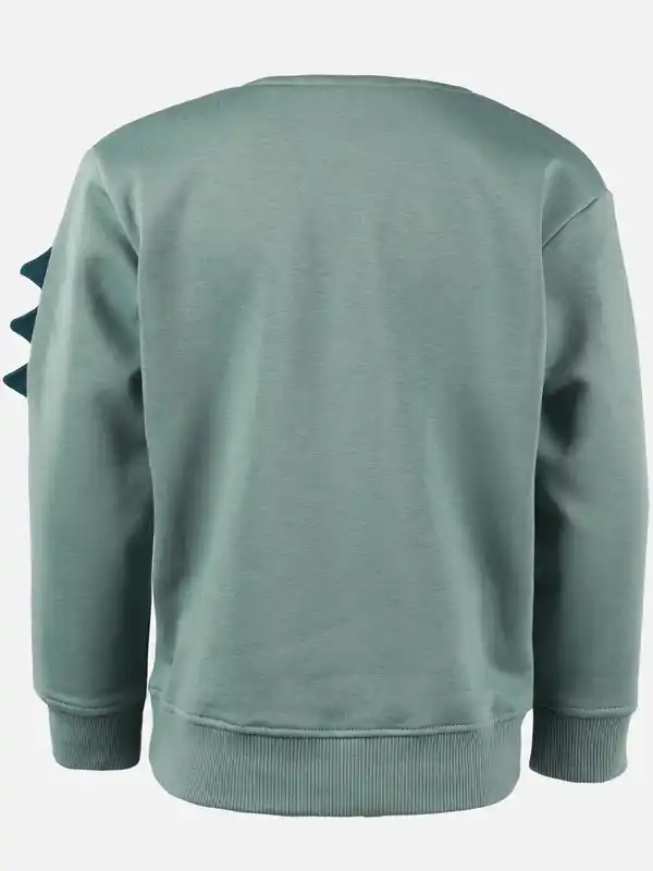 Bild 2 von Jungen Sweatshirt mit Dinomotiv Grün