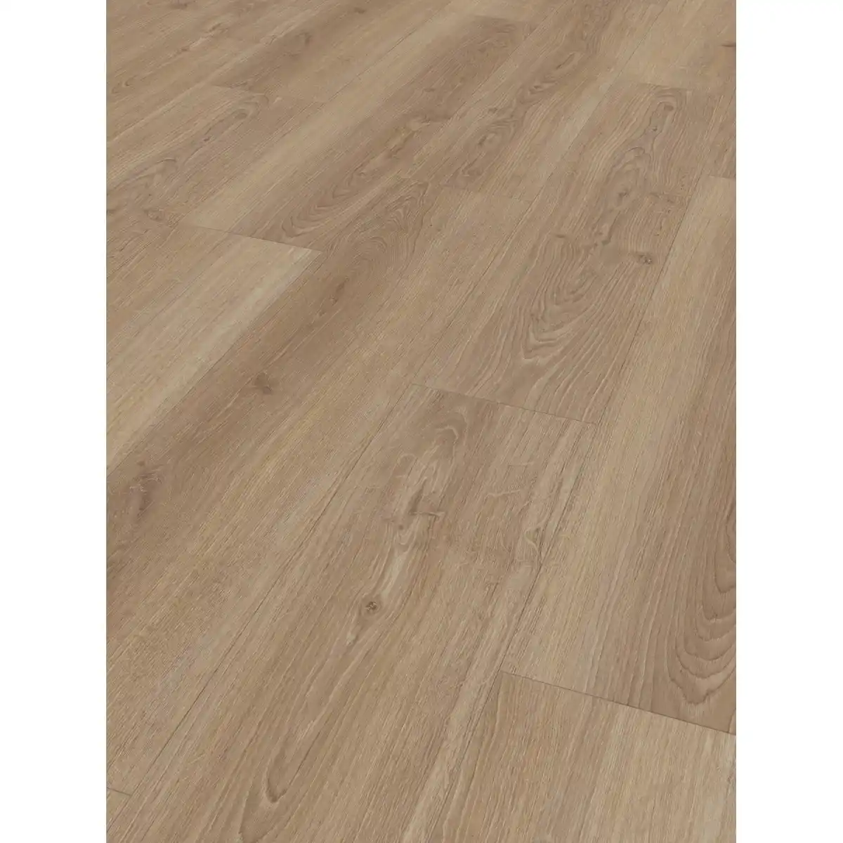 Bild 1 von Parador Basic 600 Laminat 8 mm Wasserfest Eiche Studioline