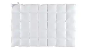 Billerbeck Kassettendecke II Ramona