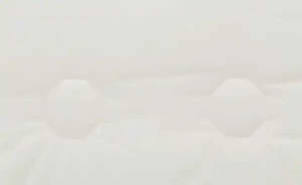 Bild 4 von Billerbeck Kopfkissen Concerto