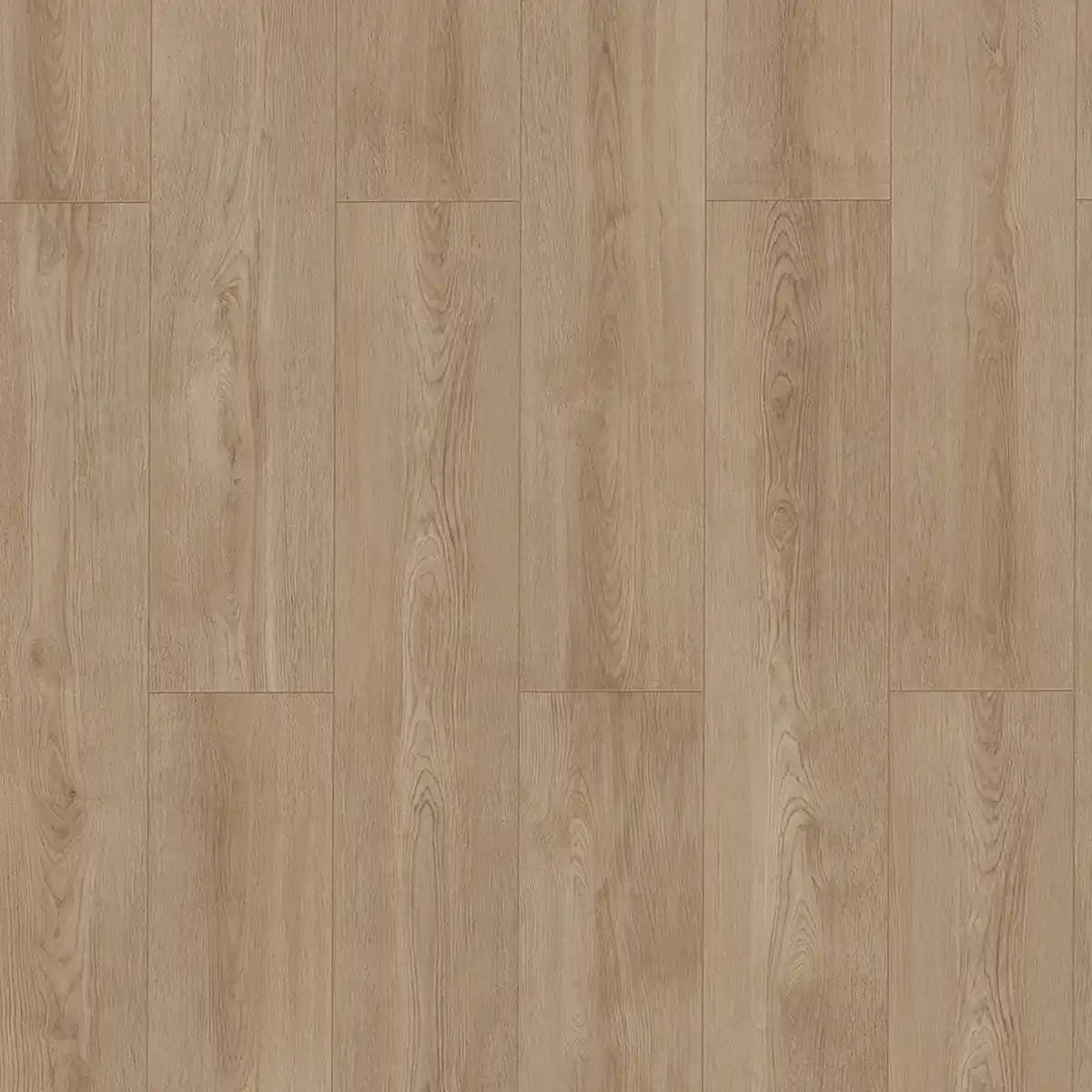 Bild 3 von ECO4ALL Pro Eiche Roma 1290x246x5