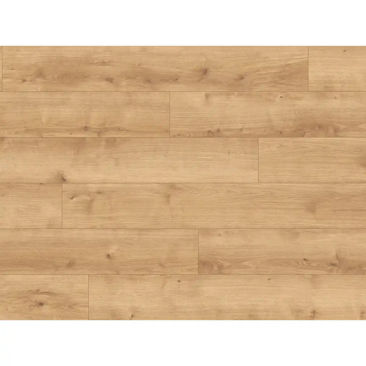 Bild 1 von Parador Designboden Landhausdiele Modular One Eiche Pure Natur