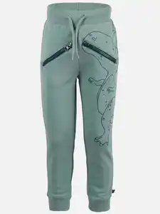 Jungen Joggpant mit Dinoprint Grün