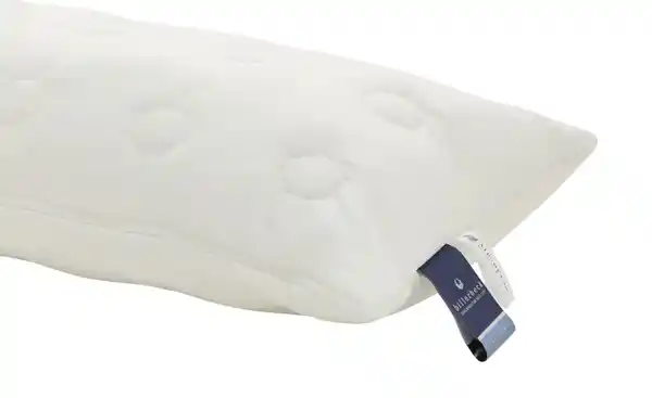 Bild 3 von Billerbeck Kopfkissen Concerto