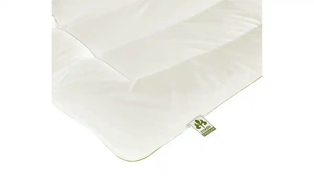 Bild 3 von IRISETTE Steppbett Leicht