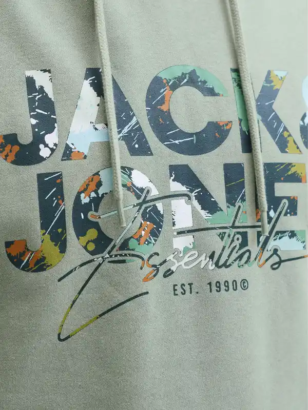 Bild 2 von Jack&Jones JJGEPLAS SWEAT Hoodie Grün