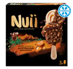 NUII Ice Cream Adventure*