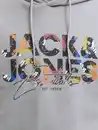 Bild 2 von Jack&Jones JJGEPLAS SWEAT Hoodie Grau