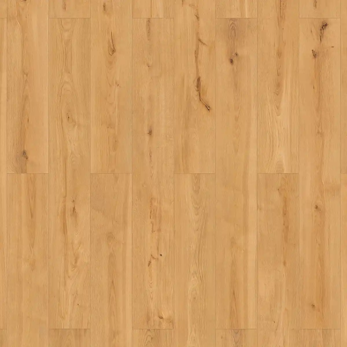 Bild 1 von Classen Klick-Vinylboden ECO 4ALL Eiche Exklusiv 17,3 cm x 129 cm