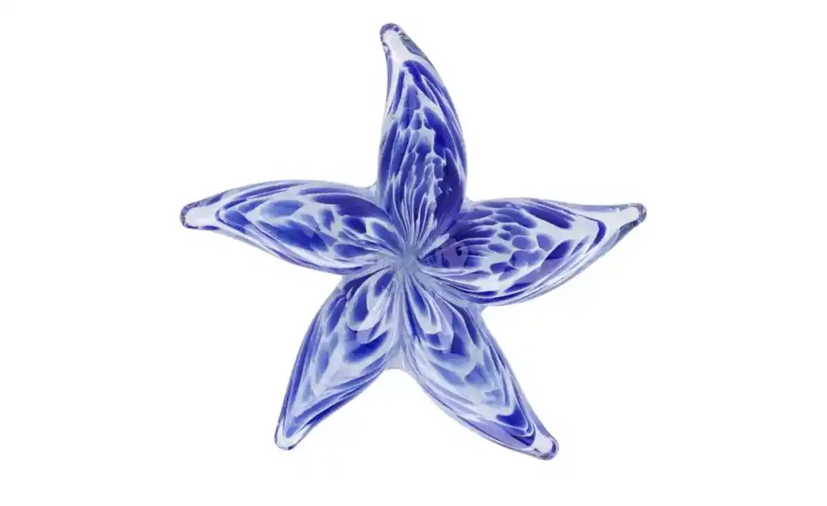 Bild 3 von Deko Seestern