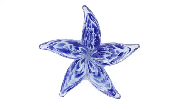 Bild 3 von Deko Seestern