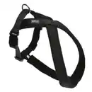 Bild 1 von AniOne X-Geschirr Classic schwarz XS-S