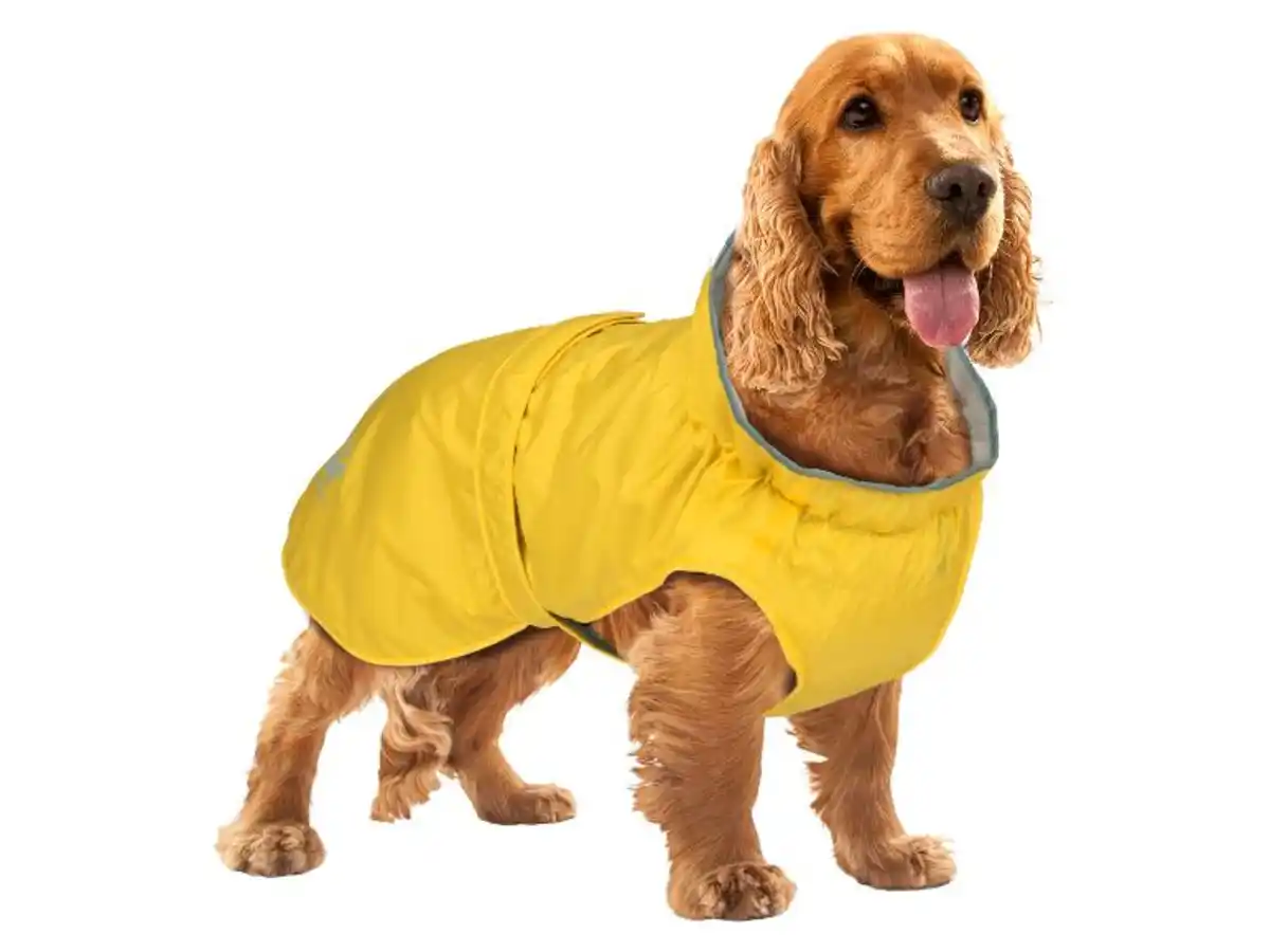 Bild 2 von zoofari® Hunderegenmantel, reflektierend