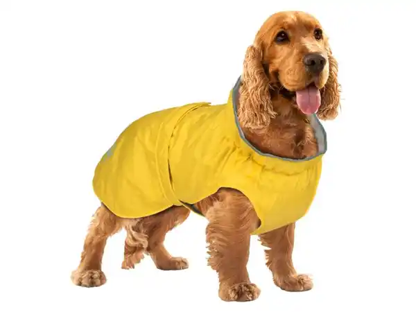 Bild 2 von zoofari® Hunderegenmantel, reflektierend