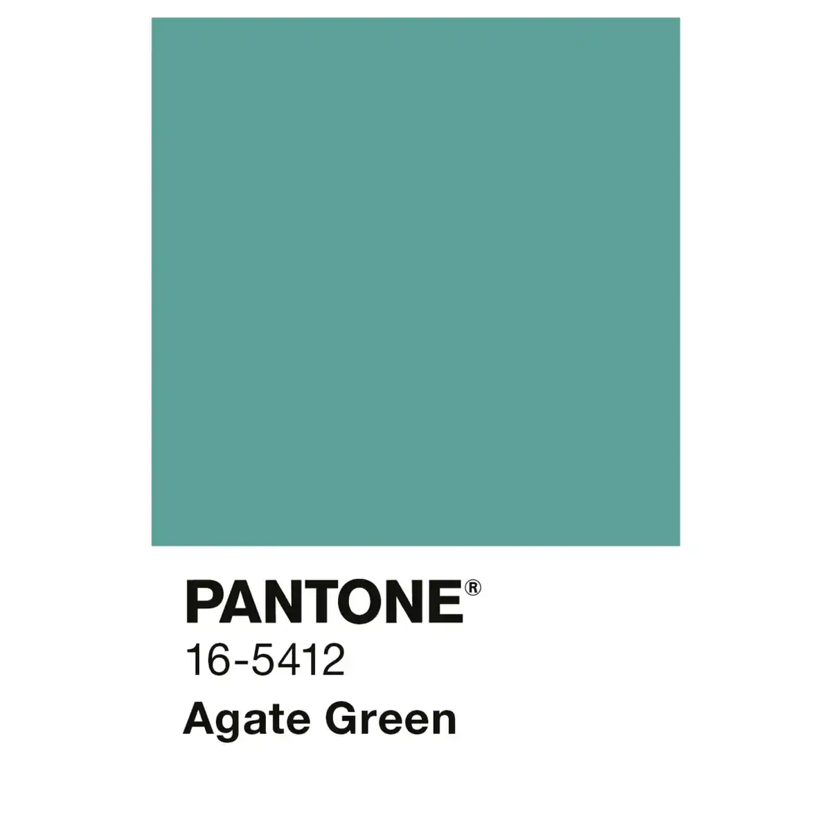 Bild 3 von ALPINA Wandfarbe »PANTONE«, Agate Green, matt, 2,5 l