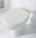 Bild 1 von WC Sitz Holz mit Soft Close weiß