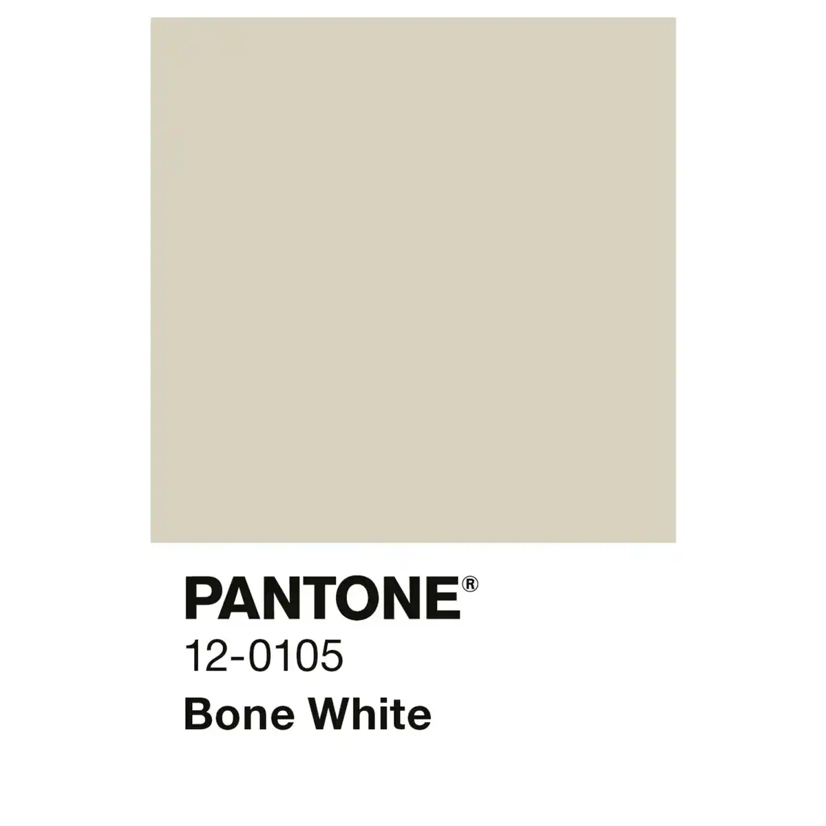 Bild 2 von ALPINA Wandfarbe »PANTONE«, Bone White, matt, 2,5 l