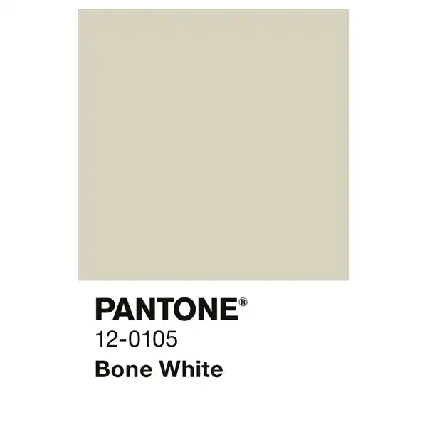 Bild 2 von ALPINA Wandfarbe »PANTONE«, Bone White, matt, 2,5 l