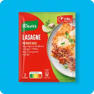 KNORR®  Fix, Lasagne
