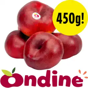Ondine Plattnektarine