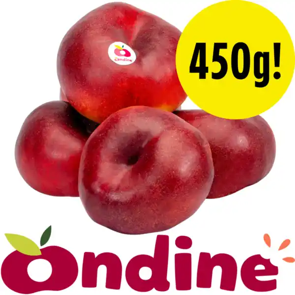 Bild 1 von Ondine Plattnektarine