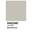 Bild 3 von ALPINA Wandfarbe »PANTONE«, Moonstruck, matt, 2,5 l