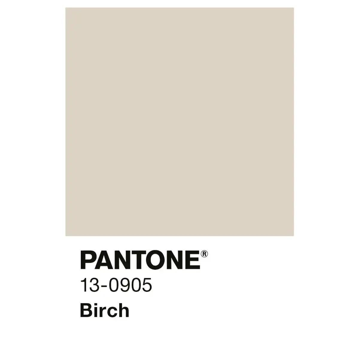 Bild 3 von ALPINA Wandfarbe »PANTONE«, Birch, matt, 2,5 l