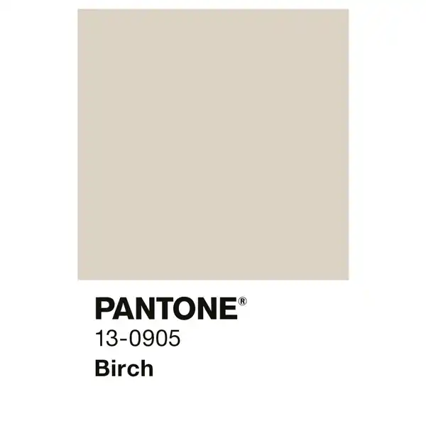 Bild 3 von ALPINA Wandfarbe »PANTONE«, Birch, matt, 2,5 l