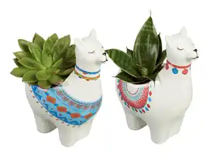 Pflanzenmix in Alpacca-Keramik