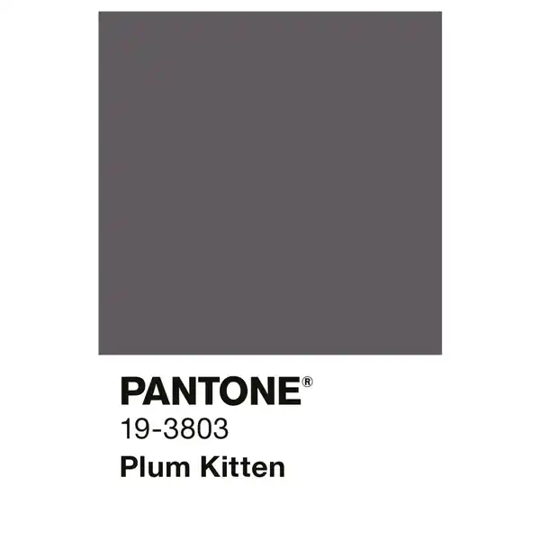 Bild 2 von ALPINA Wandfarbe »PANTONE«, Plum Kitten, matt, 2,5 l