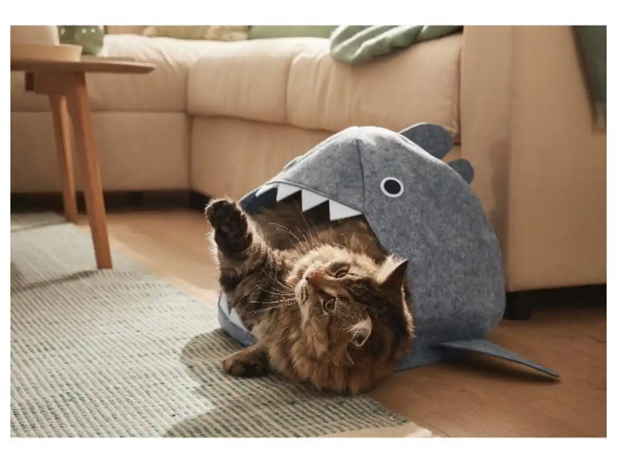 Bild 2 von zoofari® Katzenhöhle, zusammenklappbar