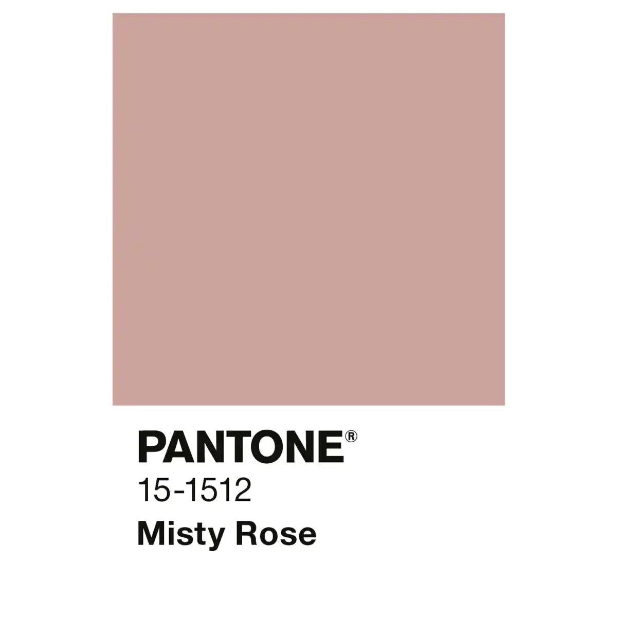 Bild 2 von ALPINA Wandfarbe »PANTONE«, Misty Rose, matt, 2,5 l